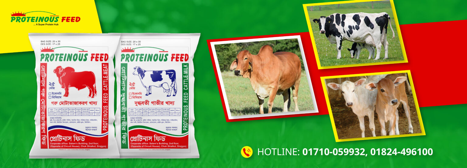 Proteinous Cattle Feed