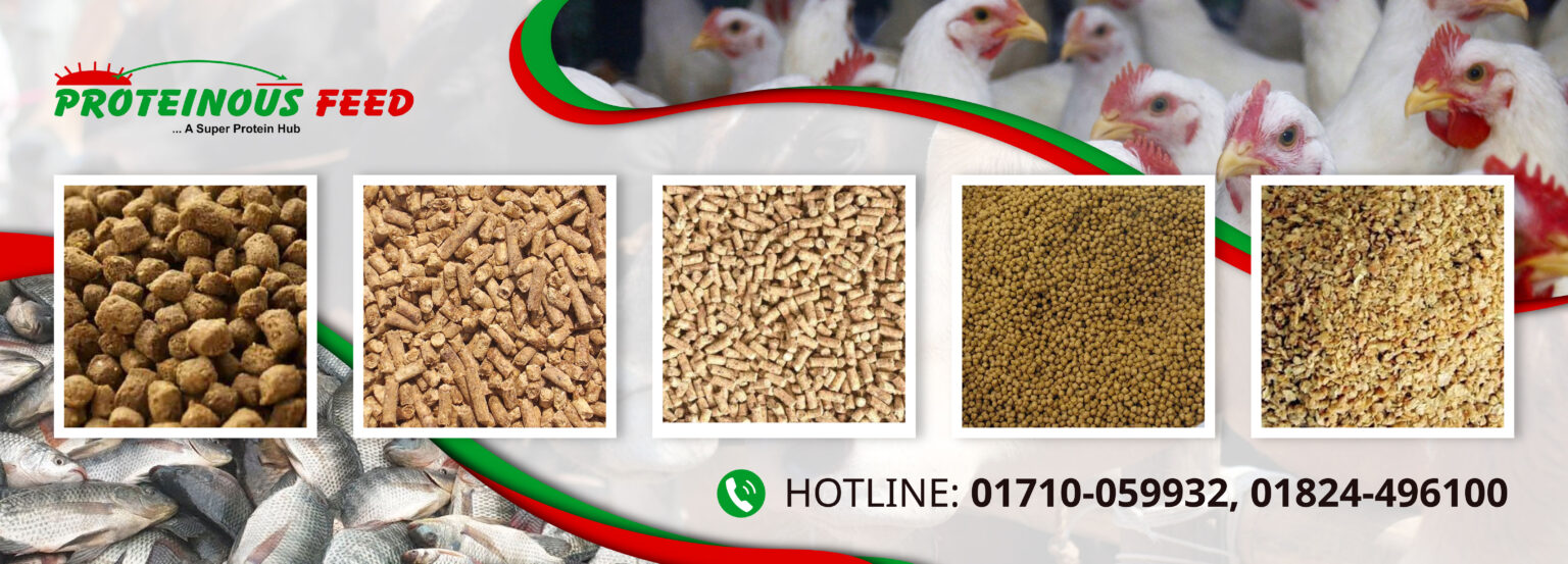 Proteinous All types of Feed